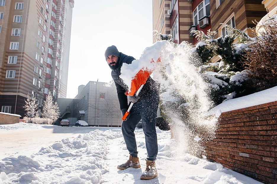 useful description of image if informative and not decoration only.